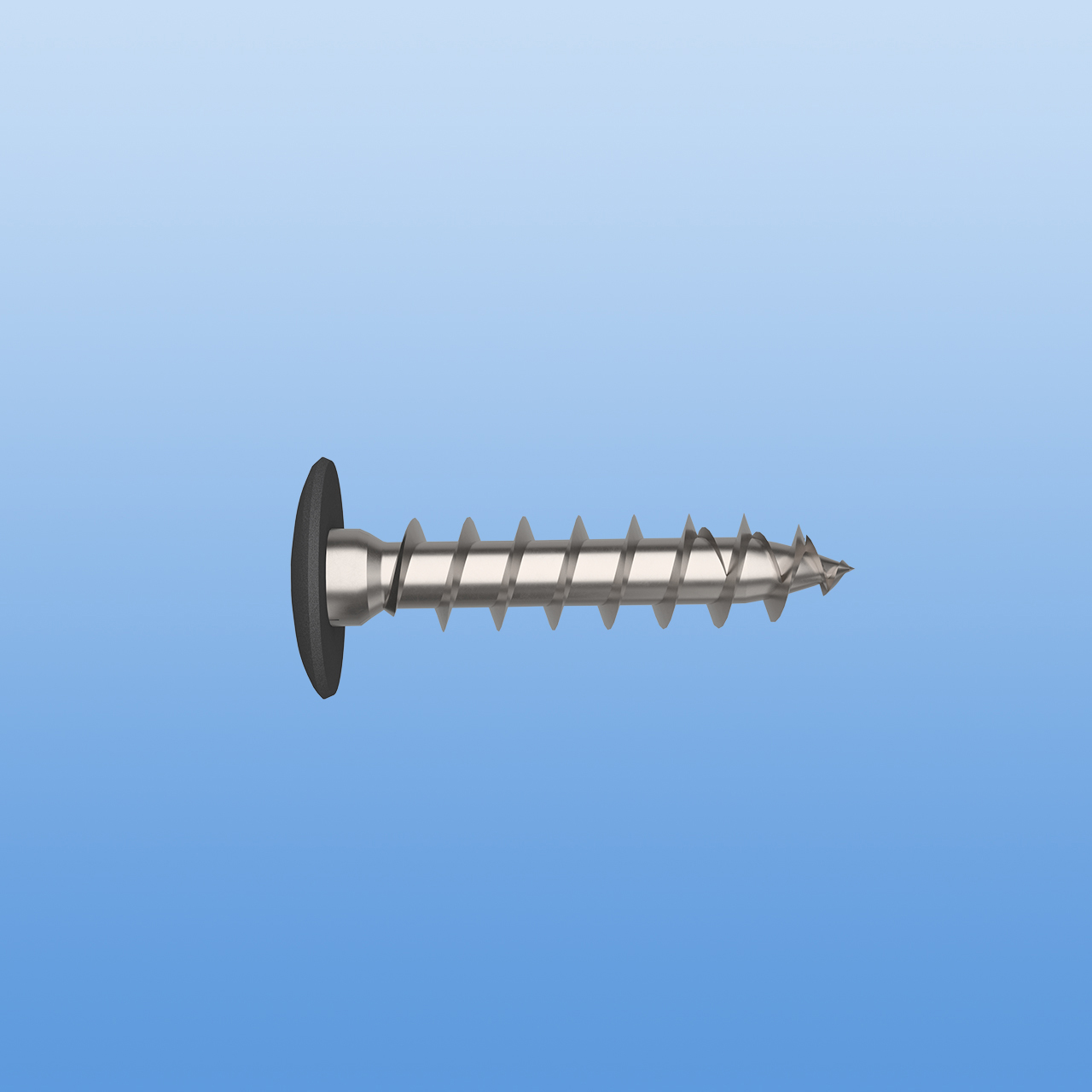 Edelstahlschraube mit Kopflackierung in Anthrazit DB703 Matt - 4 x 40mm